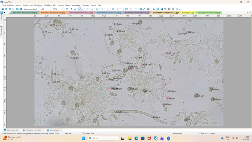 Screenshot (24).png