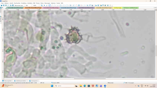 Screenshot (25).png