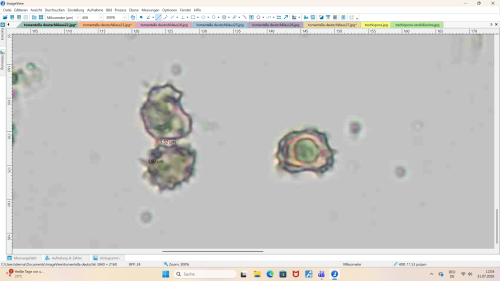 Screenshot (26).png