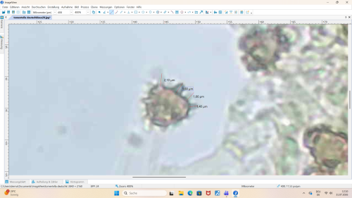Screenshot (27).png