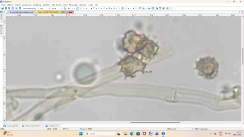 Screenshot (29).png
