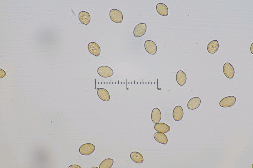 20260815-153311-05M.jpg