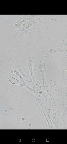 Screenshot_20260828_190622_com.android.gallery3d.jpg