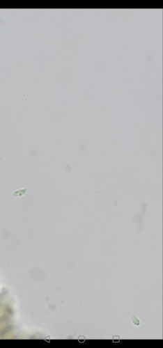 Screenshot_20260831_152706_com.android.gallery3d.jpg