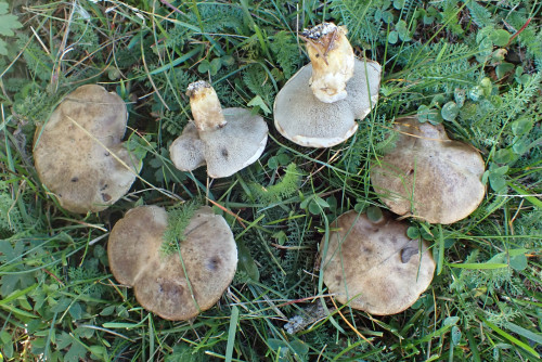 P9030010.JPG