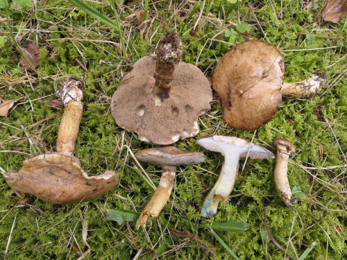 P1010267.JPG