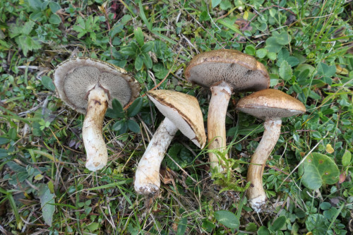 P1015458.JPG