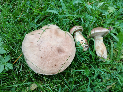 20260902_192904.jpg