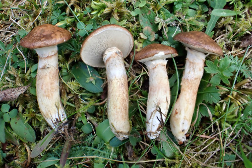 P9030110.JPG