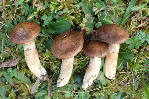 P9030111.JPG
