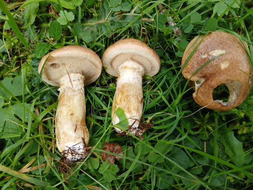 20260902_192713.jpg