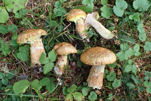 P9030121.JPG