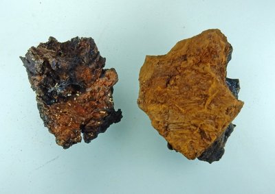 Krebs_li_Chaga_re.jpg (100.97 KiB) 70668 mal betrachtet links Krebs, rechts Chaga
