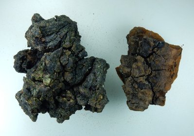 krebs_li_chaga_rechts.jpg (125.27 KiB) 70668 mal betrachtet links Krebs, rechts Chaga