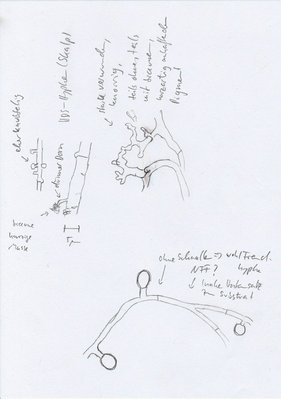 CH2019030301_Resupinatus02.jpg