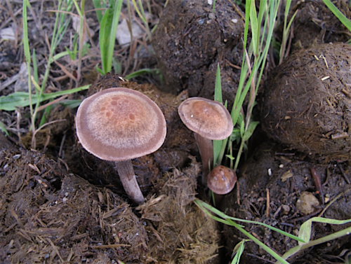 Bildschirmfoto 2019-05-22 um 16.05.55.png