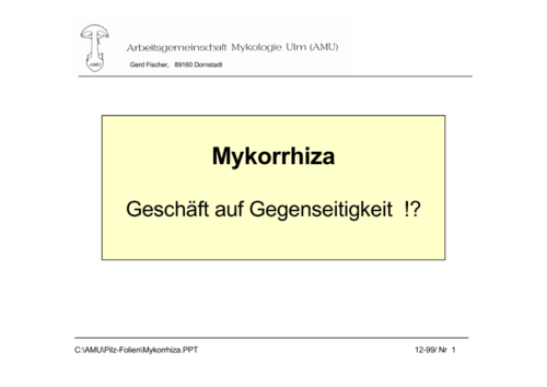 Mykorrhiza(Stofftransfer)_Page_1.png