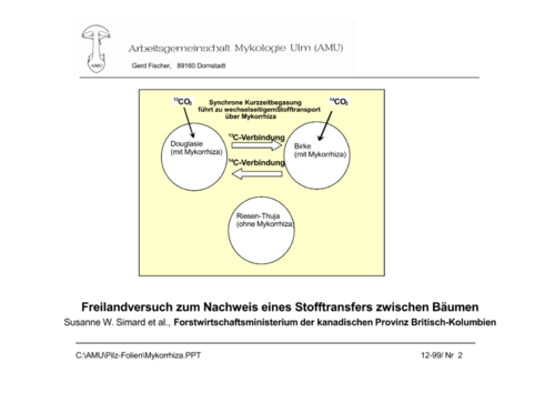 Mykorrhiza(Stofftransfer)_Page_2.png