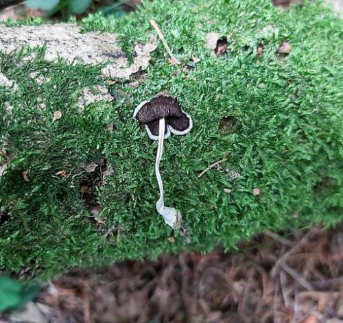 K640_20200720_143038.JPG