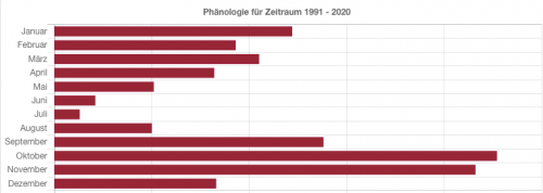 Panellus stipticus.png