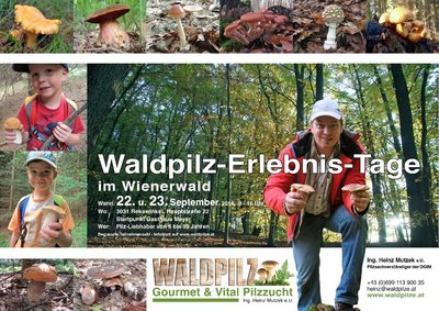 Waldpilz-Erlebnistage.jpg