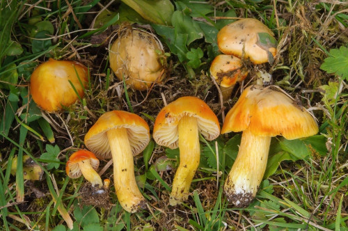 2025-10-09-4-tägige Exkursion Schöder-0003.jpg