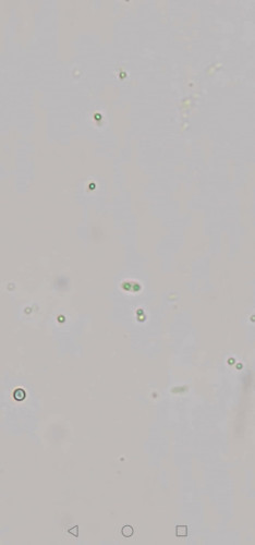 Screenshot_20260605_211000_com.android.gallery3d.jpg